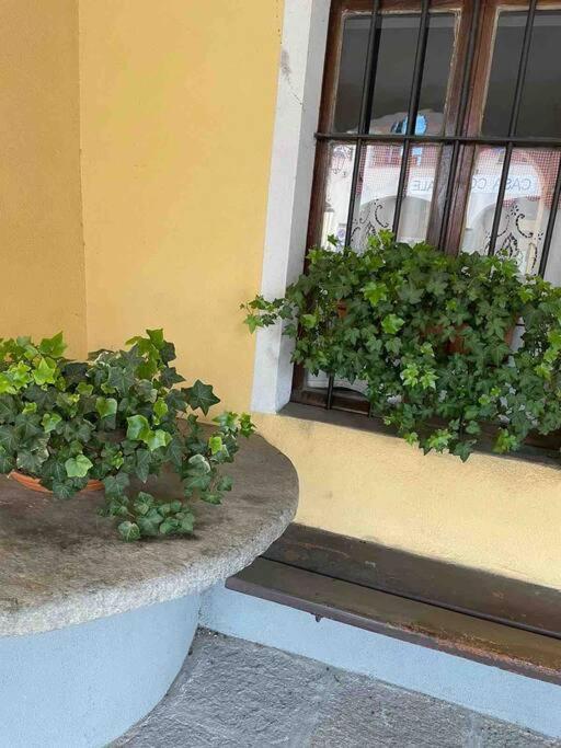 Appartamento “Sut L'Ala” Netro Ngoại thất bức ảnh